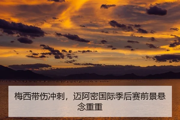 mei-xi-dai-shang-chong-ci-mai-a-mi-guo-ji-ji-hou-sai-qian-jing-xuan-nian-chong-chong-2-621.jpg